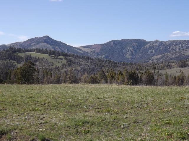 DSCF8935.JPG