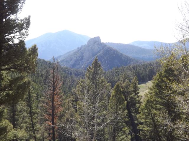 DSCF8937.JPG