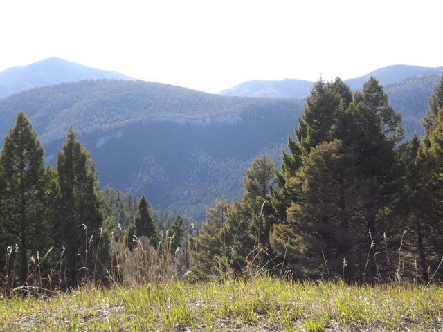DSCF8941.JPG