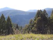 DSCF8941.JPG