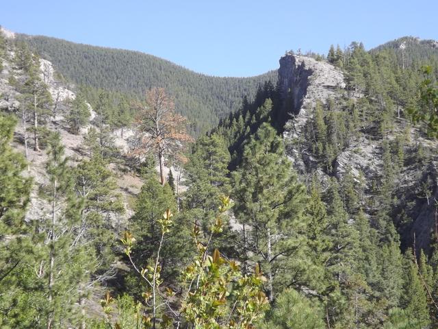 DSCF8947.JPG