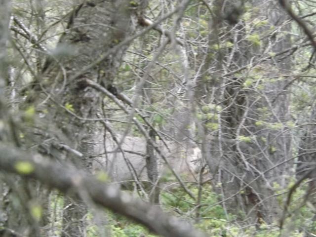 DSCF9553.JPG