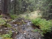 DSCF9570.JPG