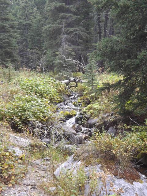 DSCF9571.JPG