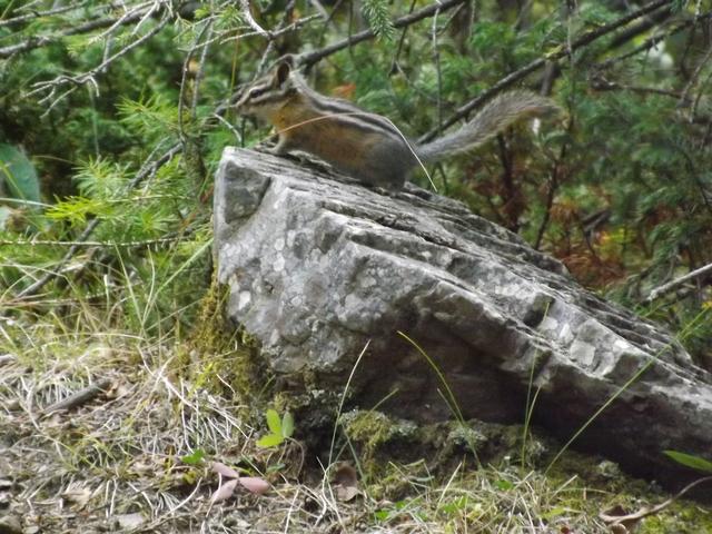 DSCF9574.JPG