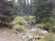 DSCF9576.JPG