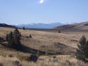 DSCF9886.JPG