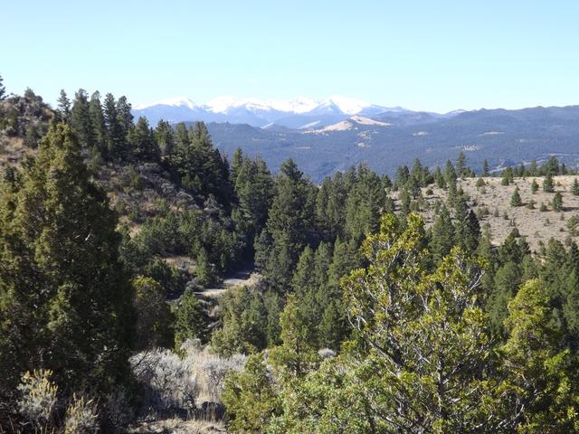 DSCF9903.JPG