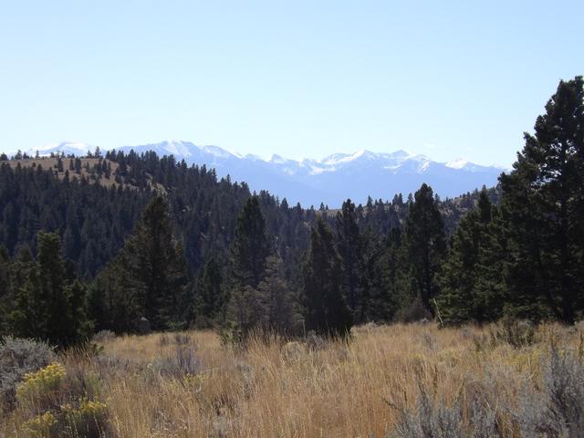 DSCF9905.JPG