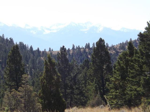 DSCF9907.JPG