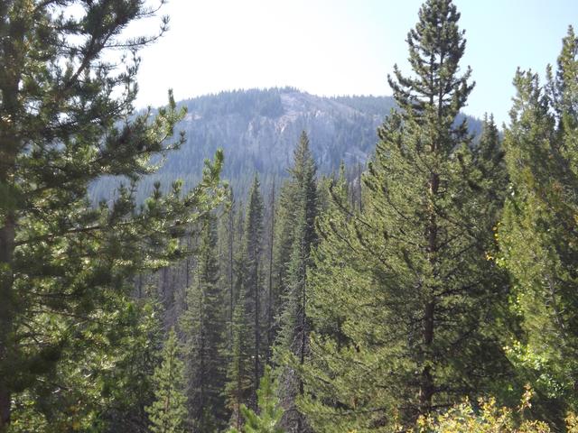 DSCF9674.JPG