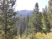 DSCF9676.JPG