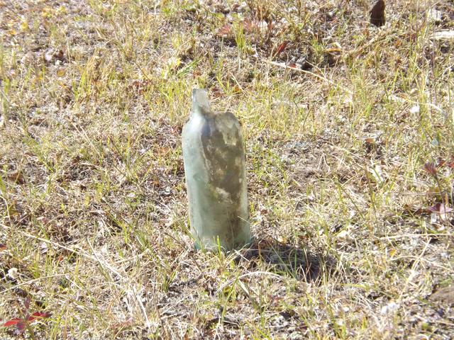 DSCF9715.JPG