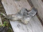 DSCF9749.JPG