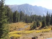 DSCF9788.JPG