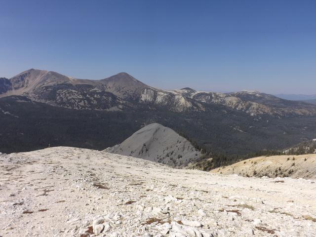 DSCF9811.JPG