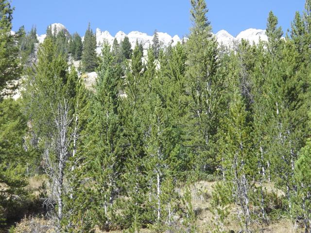 DSCF9855.JPG
