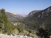 DSCF9877.JPG