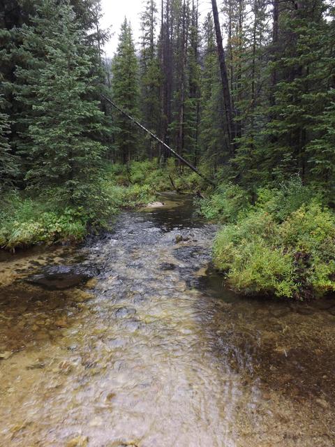 DSCF9616.JPG