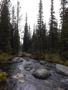 DSCF9651.JPG