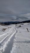 01/23/2016 Portal, Woodchute