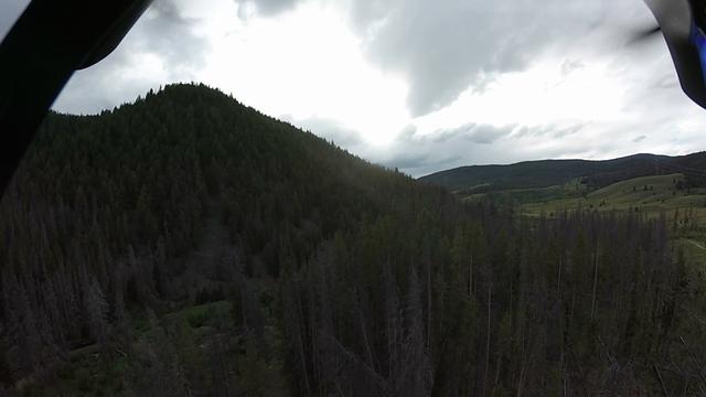 G0012824-0004