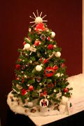 IMG_0684.JPG