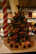 IMG_0696.JPG