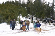 Tree Run - Jack Mountain - 12/4