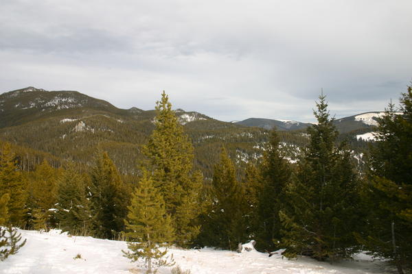 img_0766.jpg
