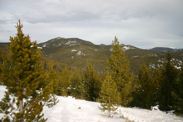 img_0768.jpg