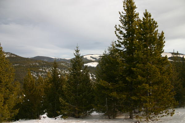 img_0769.jpg