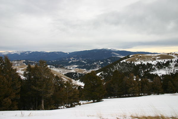 img_1268.jpg