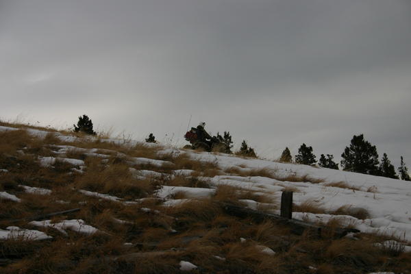 img_1292.jpg