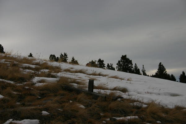 img_1293.jpg