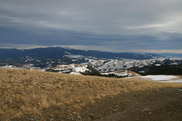 img_1359.jpg