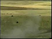 Sportsman Race - Medium Video Size, 128K DivX AVI 25MB
