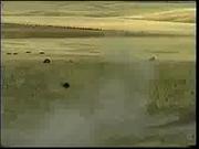 Sportsman Race - Medium Video Size, 160K DivX (somewhat better quality) AVI 31MB
