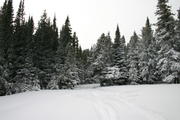 img_2163.jpg