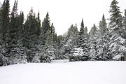 img_2166.jpg