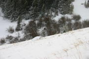 img_2173.jpg