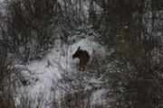 img_2176.jpg