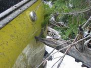 trail ride 017.JPG