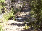 View of part of the trail