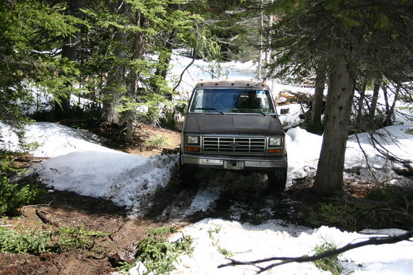 img_3043.jpg