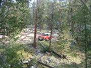 ETTIEN RIDGE CONSERVATION 2005