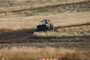 img_4625.jpg