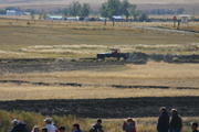 img_4650.jpg