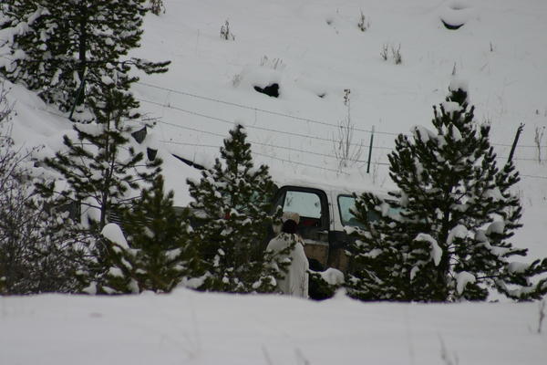 IMG_5287.JPG