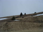 DSCF0094